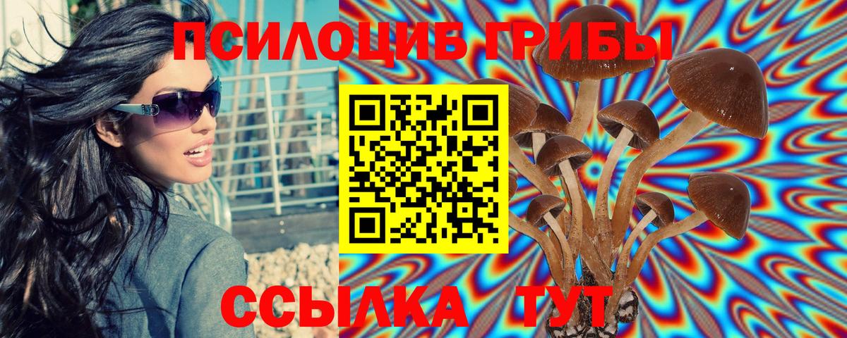 Сердобск  Галлюциногенные грибы мицелий  купить наркотик  Вход с VPN 